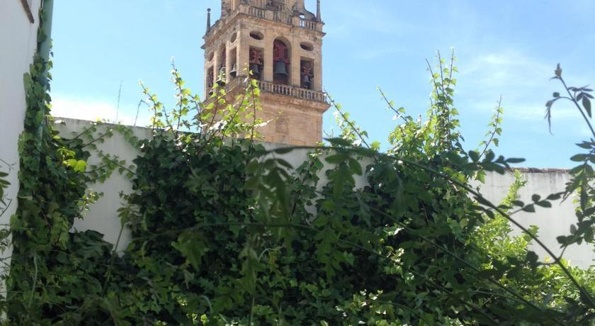 Entre 2 Mezquitas Leilighet Córdoba Eksteriør bilde